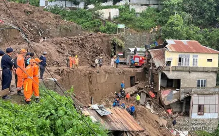 नगालैंड में बारिश और भूस्खलन लोगों के लिए बनी आफत, अब तक एक की मौत कई लोग लापता 