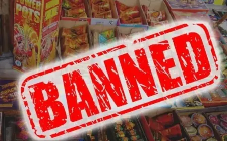 दिवाली से पहले सरकार का बड़ा फैसला, पटाखों पर पूरी तरह लगाया बैन