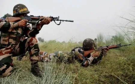 सीमा पर पाक ने फिर की 'नापाक' हरकत, BSF का जवान हुआ घायल 