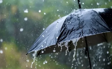 पंजाब के इन जिलों को बारिश के कारण किया गया अलर्ट, जानें अपने जिले का हाल