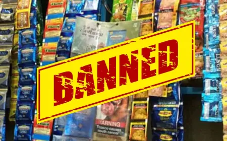 चुनाव से पहले सरकार का बड़ा फैसला, एक साल के लिए किया गुटखा-पान मसाला बैन