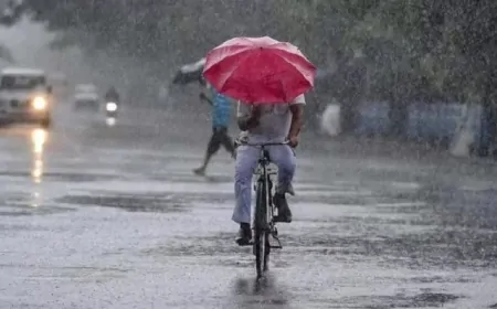 हरियाणा के 19 शहरों में बारिश को लेकर येलो अलर्ट जारी, जानिए अपने इलाके का हाल