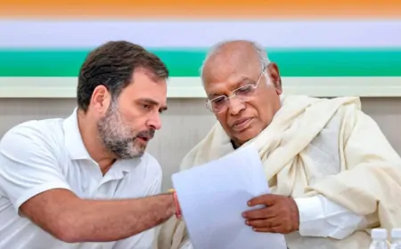 हरियाणा विधानसभा चुनाव : कांग्रेस आज जारी कर सकती है घोषणा पत्र, महिलाओं और युवाओं पर रहेगा फोकस      