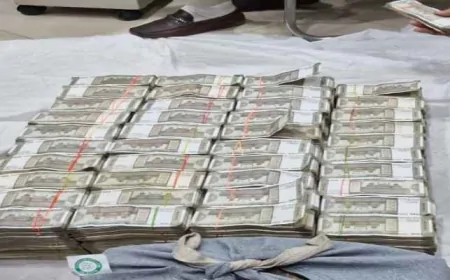 फरीदाबाद में पुलिस की बड़ी कार्रवाई,  तलाशी के दौरान 2 करोड़ 70 लाख रुपये बरामद, चुनाव आचार संहिता के बीच पुलिस की कार्रवाई