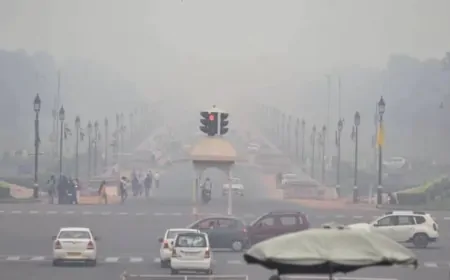 दिल्ली में प्रदूषण के मद्देनजर विंटर एक्शन प्लान तैयार, इन 14 नियमों को लागू करना जरूरी