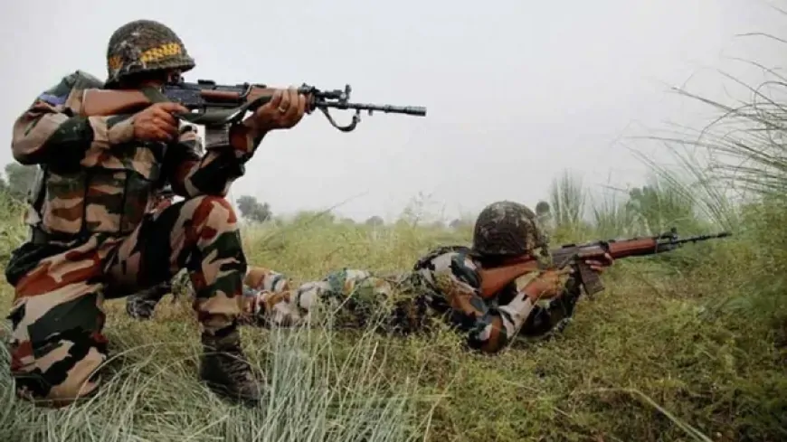 सीमा पर पाक ने फिर की 'नापाक' हरकत, BSF का जवान हुआ घायल 