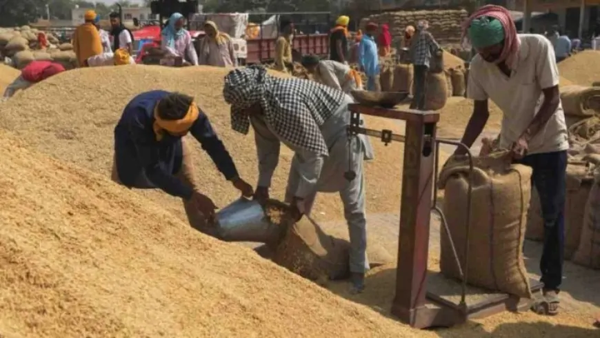 हरियाणा में शुरू हुई धान की सरकारी खरीद, नहीं होगी गेट पास की टेंशन