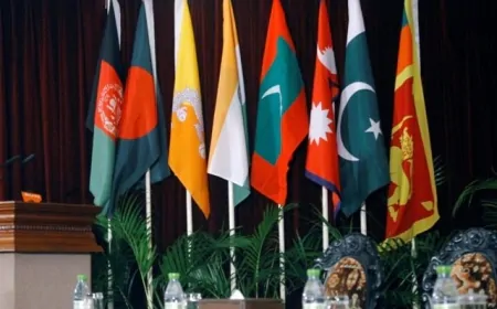 सिर्फ डॉक्यूमेंट्स में ही रह जाएगा SAARC? रिवाइव करने के किए PAK तक ने किया प्रयास, इंडिया ने ठुकरा दिया प्रस्ताव