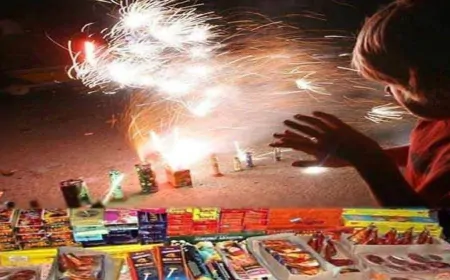 Punjab: दिवाली व गुरुपर्व पर पटाखे चलाने का समय हुआ तय, यहां रहेगी पाबंदी