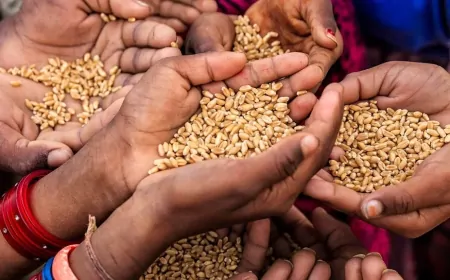 नए तरीके का फ्रॉड आया सामने, मुफ्त राशन का लालच देकर ले रहे लोगों का आधार कार्ड, फिर सीधे चीन से आ रहा कॉल