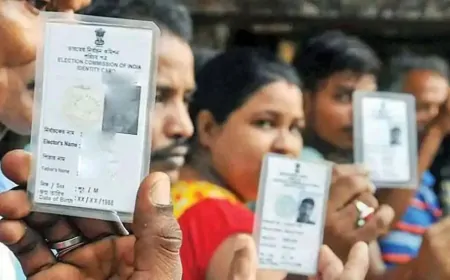 आपके पास वोटर ID कार्ड नहीं है फिर भी डाल सकते हैं वोट, जानें कैसे