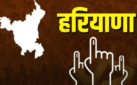 Haryana Election: हरियाणा में 5 बजे तक 61% मतदान, नूंह में 3 जगह विवाद