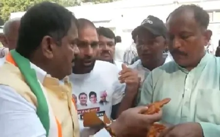 हरियाणा विधानसभा चुनाव : कांग्रेस मुख्यालय में जीत का जश्न, गोहाना से मंगवाई गईं जलेबियां