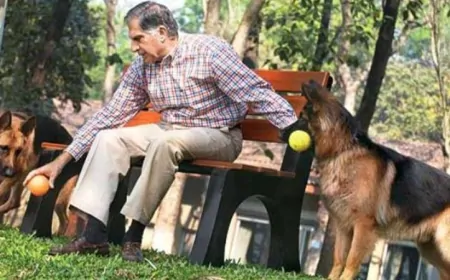 रतन टाटा कैसे बने भारत के 'रत्न' ? अपने बिमार पालतू कुत्ते के लिए ठुकरा दिया था प्रिंस चार्ल्स का lifetime achievement award