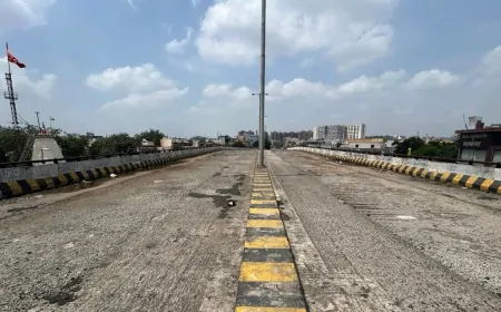 42 करोड़ में बना ब्रिज, अब तोड़ने में खर्च होंगे 52 करोड़...