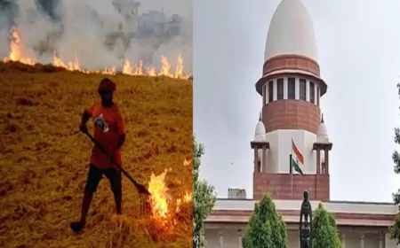 पराली जलाने पर अब जाना पड़ेगा जेल...SC ने लगाई थी फटकार