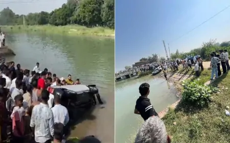 हरियाणा के कैथल में बड़ा हादसा, नहर में गिरी कार, 7 लोगों की मौत