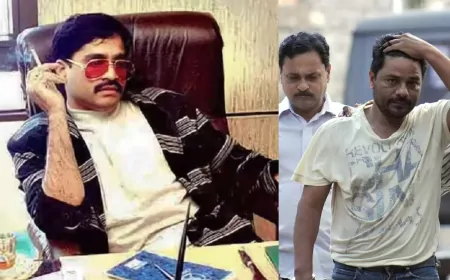 अंडरवर्ल्ड में 'सुपारी' से कैसे तय होता है मर्डर तक का प्लान? जानिए कॉन्ट्रैक्ट किलिंग का कोडवर्ड