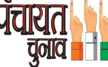 पंजाब पंचायत चुनाव में दोपहर 2 बजे तक 44 फीसदी हुई वोटिंग