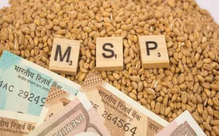 मोदी सरकार ने किसानों को दिया दिवाली गिफ्ट, इन 6 रबी फसलों की बढ़ाई MSP