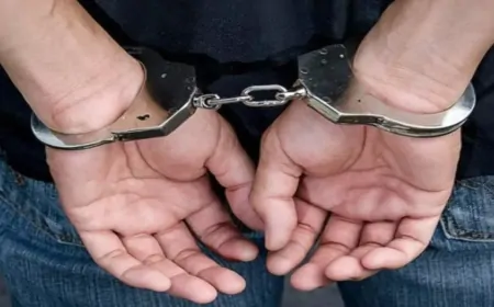 नशा तस्करों के खिलाफ पंजाब पुलिस की बड़ी कार्रवाई, नशे की खेप सहित एक आरोपी गिरफ्तार