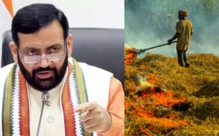 हरियाणा में पराली जलाने पर होगी FIR, मंडियों में फसल बेचने पर भी लगेगी रोक