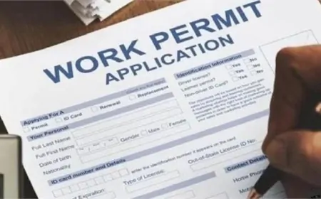 Canada में 1.3 लाख भारतीयों का 31 दिसंबर को समाप्त हो जाएगा Work Permit, लौटना होगा देश