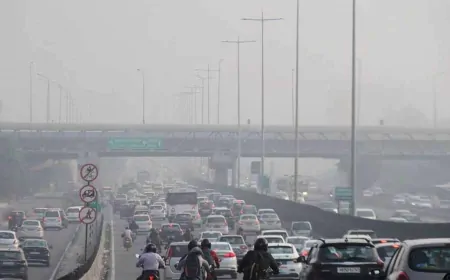 दिल्ली में वायु प्रदूषण का स्तर 300 के पार, ग्रैप-II की पाबंदियां लागू!