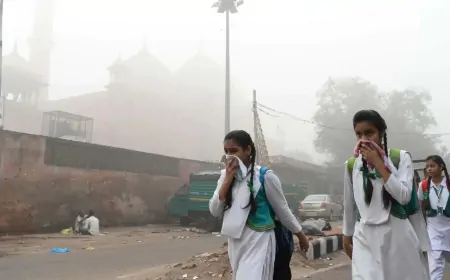 दिल्ली-NCR में बढ़ते प्रदूषण को लेकर ग्रैप-2 नियम लागू, डीजल जनरेटर पर लगाया गया बैन