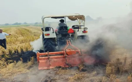 लुधियाना : छुट्टियों के दिन भी काम कर रहा है कृषि विभाग, पराली जलाने का कोई मामला नहीं आया सामने 