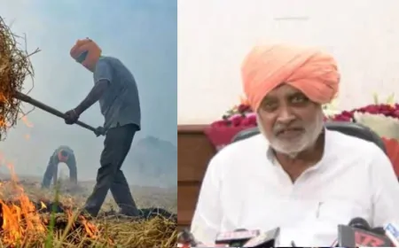 पराली जलाने की घटना को लेकर 'नायब सरकार' सख्त,  कृषि विभाग के 24 कर्मचारी और अधिकारियों को किया गया सस्पेंड