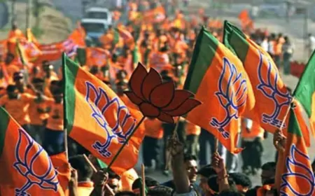 पंजाब उपचुनाव के लिए BJP ने जारी की स्टार प्रचारकों की सूची, अनुराग ठाकुर का नाम भी शामिल 