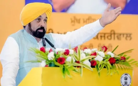 पंजाब के उद्योगों को पड़ोसी पहाड़ी राज्यों की तर्ज पर दी जाएं रियायतें: मुख्यमंत्री