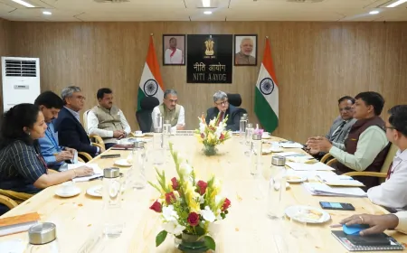 हिमाचल को मिलना चाहिए वन संरक्षण के लिए 'ग्रीन बोनस', सीएम सुक्खू ने नीति आयोग के समक्ष उठाई बड़ी मांग