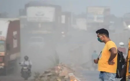 हरियाणा के इस जिले में बढ़ रहा प्रदूषण, AQI 238 दर्ज