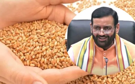 हरियाणा सरकार का बड़ा फैसला, बीज पर मिलेगी एक हजार रुपए की सब्सिडी
