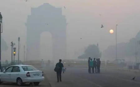 देश के 5 सबसे प्रदूषित शहरों में सबसे दमघोंटू शहर राजधानी दिल्ली 