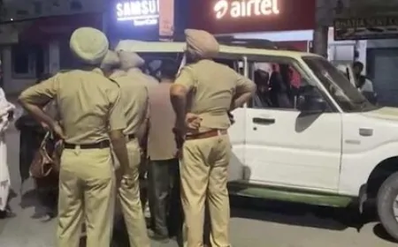 त्योहारों को लेकर पंजाब पुलिस अलर्ट, मोहाली में पुलिस ने चलाया चैकिंग अभियान