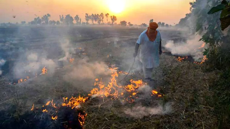 पंजाब में पराली जलाने के 8 नए मामले आए सामने