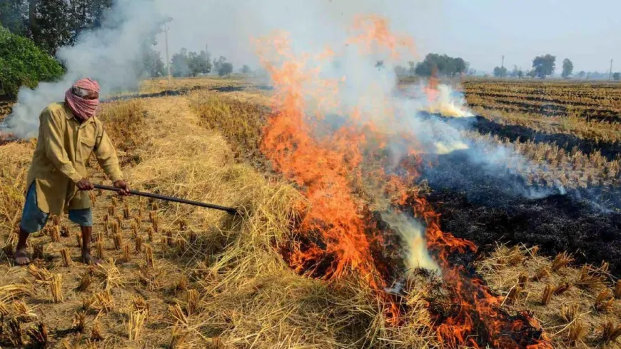 पंजाब के मुख्यमंत्री मान ने किसानों से पराली जलाने पर रोक लगाने के लिए सब्सिडी योजना का लाभ उठाने का किया आग्रह