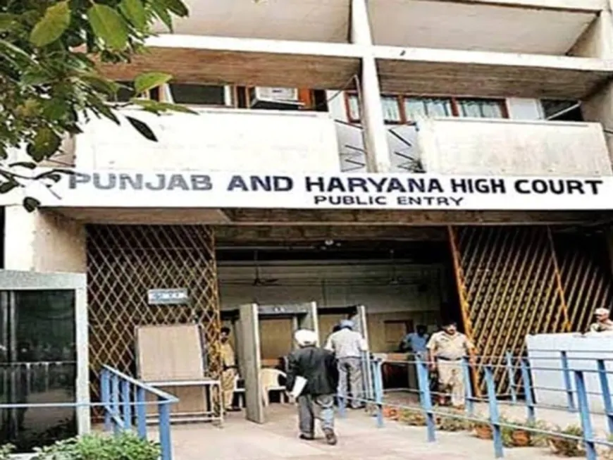 Punjab पंचायत चुनाव को लेकर High Court में आज नहीं कल होगी सुनवाई, 100 से ज्यादा याचिकाएं लंबित 