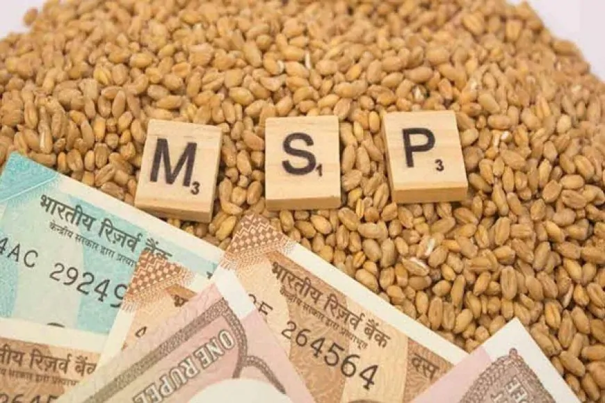 मोदी सरकार ने किसानों को दिया दिवाली गिफ्ट, इन 6 रबी फसलों की बढ़ाई MSP