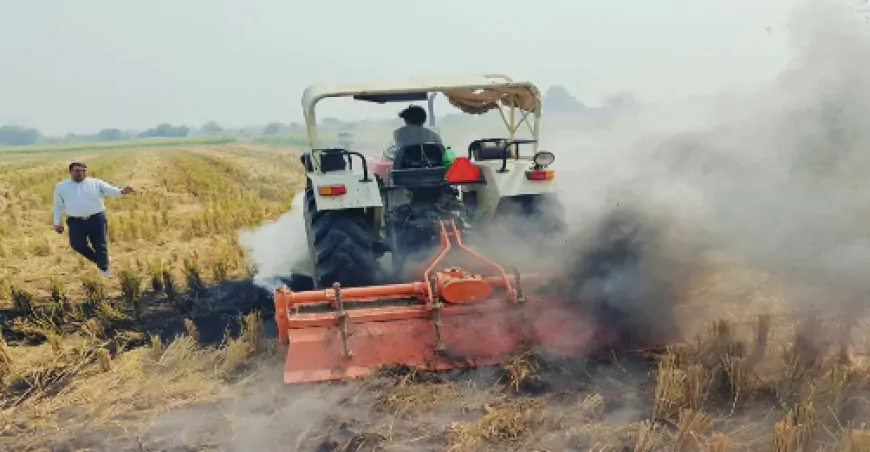 लुधियाना : छुट्टियों के दिन भी काम कर रहा है कृषि विभाग, पराली जलाने का कोई मामला नहीं आया सामने 