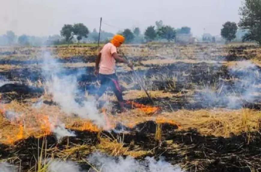 पराली जलाने पर 19 किसानों पर की गई कार्रवाई, 55 हजार रुपये का लगाया गया जुर्माना 