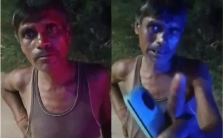 250 ग्राम चोरी हुए आलू, जांच करने के लिए बुला ली पुलिस 