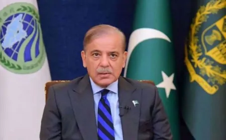 अमेरिका, UK और कनाडा के सिख तीर्थयात्रियों को पाकिस्तान देगा फ्री ऑनलाइन वीजा