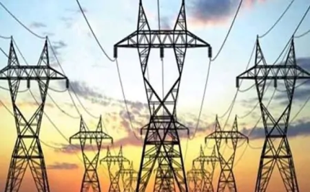 दूर होगी बिजली संबंधी शिकायतें, जानिए किस तारीख को होगी सुनवाई ?