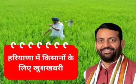 Haryana : हरियाणा के इन गांवों के किसानों को मिलेगा मोटा फायदा, जानें कैसे