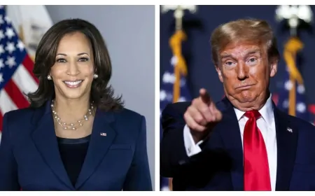 कमला हैरिस का भारत से, तो ट्रंप का जर्मनी से है नाता, जानें अमेरिका के राष्ट्रपति उम्मीदवारों को