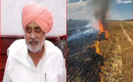 हरियाणा में पराली जलाने की घटनाओं में आई गिरावट, कृषि मंत्री श्याम सिंह राणा ने किसानों से ये अपील
